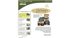 Desktop Screenshot of delaneyrealty.com
